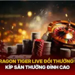 Dragon Tiger Live Doi Thuong Bi Kip San Thuong Dinh Cao Img