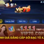 Vip79 Danh Gia Dang Cap Soi Bac To Xa Lang Img